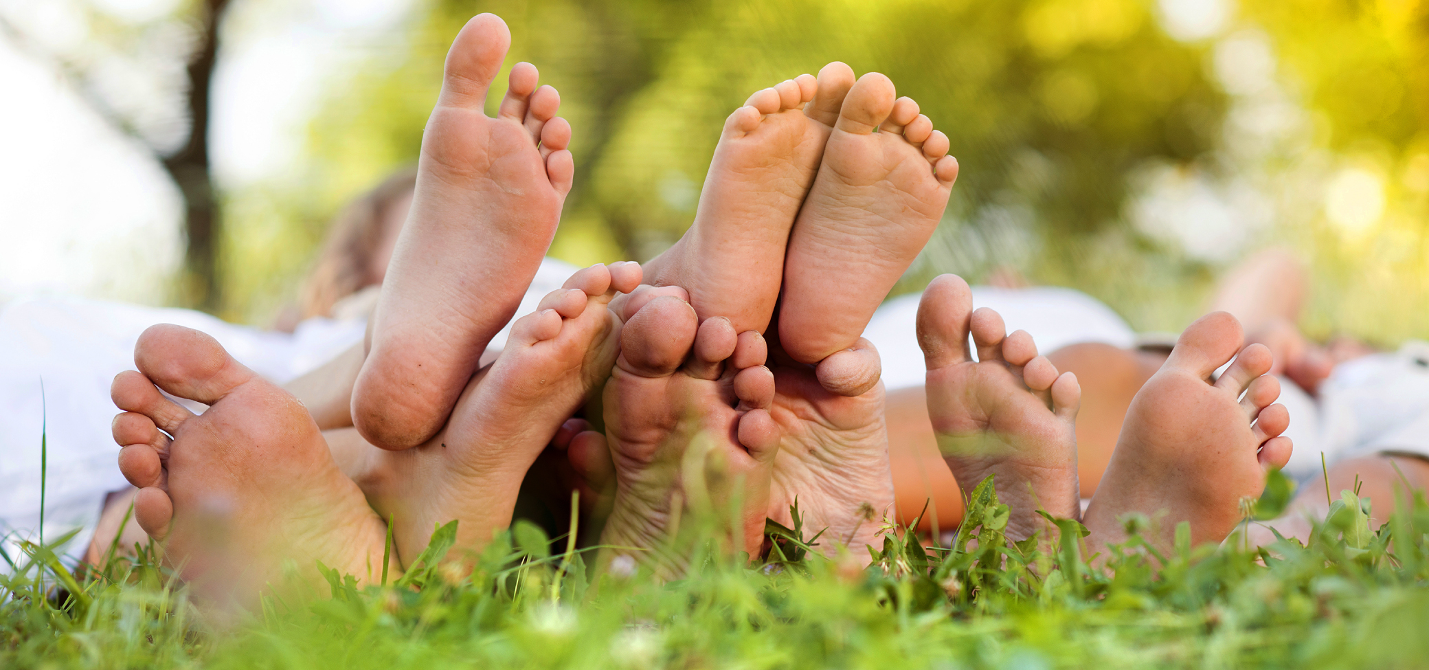 A family of bare feet on grass